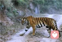 每當(dāng)你與真相斗爭，受傷的總是自己。配圖