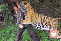 每當(dāng)你與真相斗爭，受傷的總是自己。配圖