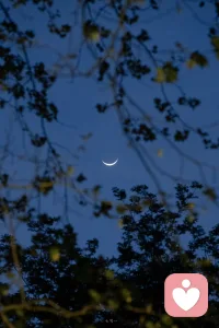 我们看见的一切都是一个视角，不是真相配图