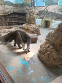 濟(jì)南野生動(dòng)物園2月19號之前免費(fèi)啦。歡迎來大濟(jì)南配圖
