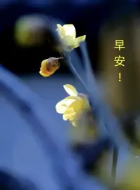 你所不能控制的東西，會反過來控制你。配圖