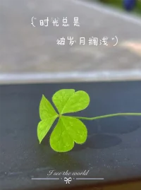 我們喜歡一個人是喜歡他身上自己的特點，我們討厭一個人是討厭他身上自己的影子。配圖