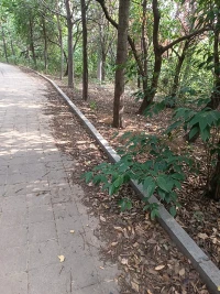 周未愉快，科學實驗證明，運動會使人開心配圖