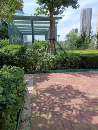 生命像一束光，轉瞬即逝，像顆露珠，太陽出來就不見了。在這短暫的生命中，不要和自己過不去。好好的愛自己，欣賞自己，做自己喜歡的事情。配圖