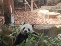 我不知道自己想要什么，這句話真正的含義是:我沒有勇氣和足夠的努力去爭取我想要的。配圖