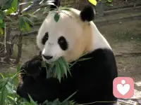 孩子最害怕的六件事，
父母要知道[太陽][太陽][太陽]
①害怕父母吵架；
②害怕父母對自己不耐煩的樣子；
③害怕父母對自己大喊大叫發脾氣；
④害怕父母不歡迎自己的朋友；
⑤害怕父母在眾人面前指責自己；
⑥害怕父母拿自己和別人家的孩子相比較。

每一個孩子都是獨一無二的天使。配圖