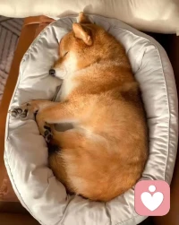 照顧好自己的情緒，身體健康，就是對家人和社會的貢獻啦。配圖