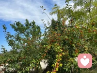 Have a nice day.配圖