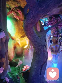 早安，A good day begins in the morning.配圖