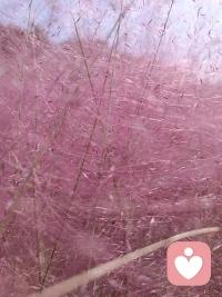 Believe you can and you are halfway there.配圖