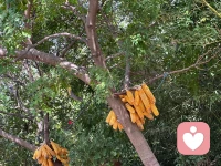 究竟是你辜負了生命，還是生命辜負了你？配圖