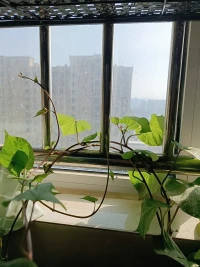很多時候不是你做錯了什么而被拉黑，或是因為你的價值觀，或是其他的原因。配圖