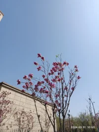 如果你不“活自己谁来活你呢？