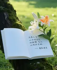 親愛(ài)的朋友，如果你是討好型人格，記住這一點(diǎn):有愛(ài)的朋友或伴侶不會(huì)欣賞你這種行為，反之那些利用這一點(diǎn)的人，則絕對(duì)不會(huì)對(duì)你有任何感激之情。配圖