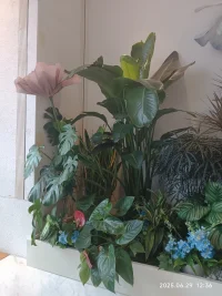 從黑暗里爬出來，在陽光里站起來。
