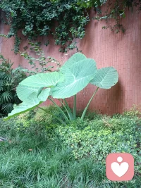 事情的發(fā)生沒有大小，全在一心感受。