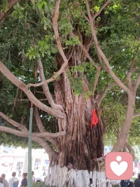 我們因相似而在一起，卻因?yàn)椴町惗砷L(zhǎng)。家庭關(guān)系不僅需要共同欣賞彩虹般的溫馨，也要在暴風(fēng)雨中化解差異的勇氣，完美和諧的家庭會(huì)因?yàn)椴町惖拇嬖诙兊酶用利悺? class=