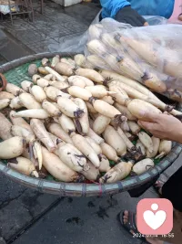 人要像莲藕，找机会让自己透气，才更顺畅配图