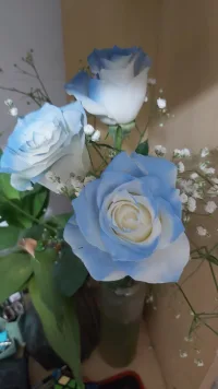 生活不是在别处，当下即好！