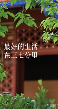 成年人最好的生活方式在三七分里，七分爭(zhēng)取，成全野心，三分隨緣，放過自己，七分合群同頻靠近，三分孤獨(dú)，靈魂豐盈，七分清醒，活在當(dāng)下，三分糊涂，余生難度。配圖