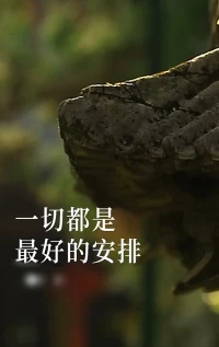 很喜歡釋迦牟尼的一句話，無(wú)論你遇見(jiàn)誰(shuí)，他都是你生命該出現(xiàn)的人，絕非偶然，他一定會(huì)教會(huì)你一些什么。所以我也相信，無(wú)論我走到哪里，那都是我該去的地方，經(jīng)歷我該經(jīng)歷的事，遇見(jiàn)我該遇見(jiàn)的人。配圖