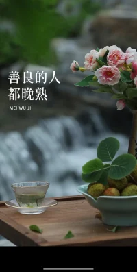莫言在晚熟的人中寫道，年輕的時候愛上什么都不為過，成熟的時候放棄什么都不為錯。每個人終其一生都在尋找那個與自己靈魂相近的人，到后來才發現唯一契合的只有自己。本性善良的人都比較晚熟，并且被劣人催熟，后來雖然開竅了，但仍然善良與赤誠，不斷尋找同類，最后變成一個孤獨的人。配圖