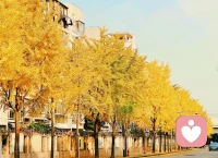 波兰导演基耶斯洛夫斯基说过：“如果你不懂自己的生活，那我想你也不会明白故事中那些人物的生活，不会明白别人的生活。”配图