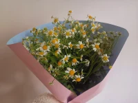 物物而不物于物配圖