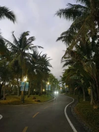 ?去看海吧，海可以治愈一切??配圖