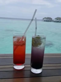 ?去看海吧，海可以治愈一切??配圖