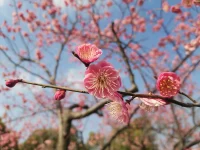 如果說平衡生活有什么法寶，我想只有這么一句話：“任何事情，先去做，然后再在路上去尋找平衡。”生活其實沒有什么平衡法則，但所有的法則都在動態的生活里。配圖