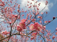 如果說平衡生活有什么法寶，我想只有這么一句話：“任何事情，先去做，然后再在路上去尋找平衡。”生活其實沒有什么平衡法則，但所有的法則都在動態的生活里。配圖