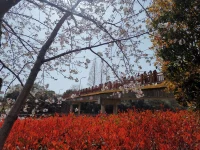 來訪者問:為什么我愛上了渣男他傷害了我，但我還是忘不了他，我該如何忘了他那？

我的回復:人的大腦不可能做兩件同樣的事情。
越想得到的，你越不一定能得到的。一個想忘掉拋棄自己渣男的女孩子，越想忘掉那個渣男，越忘不掉；越是想戒煙的人，越戒不了；越是想減肥的人，越減不掉。怎么辦呢？
唯有的一個方法就是轉移、替代、升華。配圖