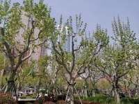 好多关于情感咨询的来访者问：什么是真正的爱情？
我说：真正爱情的第一步是知道真正的爱情究竟是什么。你要了解它的全部，包括它的瑕疵和复杂性。
第二步是尊重它。这些年里，我见过太多人背离了他们的伴侣，摧毁了一段原本美好的恋情。我逐渐相信，爱情之路的最大障碍也许是某种“权利”感——他们觉得自己“应该拥有”“最完美的”伴侣，因此结束了婚姻。他们觉得最完美的伴侣绝不是自己的丈夫或妻子，而在茫茫人海中的某处，是这样吗？坦率地说：不是。没有一段长期关系是绝对完美的——不管是我们父母的，还是某位名人的，或是我们臆想中的。
第三步：接纳对方的全部，我想这个时候你会遇见真正的爱情。配图