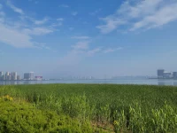 1??人往往在同一個地方跌倒
心理學(xué)理論：強(qiáng)迫性重復(fù)
如果你得到了幸福，你就會重復(fù)幸福；
如果你學(xué)會了信任，你就會重復(fù)信任；
如果你得到了痛苦，你就會重復(fù)痛苦；
如果你學(xué)會了敵視，你就會重要敵視。
我們小時候形成的關(guān)系模式，會在成年后不斷地復(fù)制。
-
2??痛苦，是你熟悉的感覺
心理學(xué)理論：潛意識里對安全感的需求
雖然你討厭這樣的家庭氛圍，你討厭父母這樣的關(guān)系，但最后活著活著，卻活成了父母原來的樣子，自己組建的小家庭的氛圍，也和你原生家庭的氛圍高度一致。
因?yàn)槟莻€氛圍就是你最熟悉的，就是扎根在你的潛意識里的。而這個熟悉，即意味著安全感。
那個記憶里最熟悉的感覺，你會不知不覺地把它帶到你新的關(guān)系當(dāng)中來。
-
3??愛的本質(zhì)，是尋求關(guān)系
心理學(xué)理論：客體關(guān)系理論
我們在感情中索求的，其實(shí)從來都不是愛本身，或者說快樂本身，本質(zhì)上是在尋求客體，即他者。
我們寧愿呆在壞的關(guān)系里，也害怕沒有關(guān)系。
這個客體哪怕會讓你痛苦，他給你的可能是負(fù)面的感受和情緒，但有總比沒有好。
為什么關(guān)禁閉會是一種懲罰？讓你什么都不看，什么都不想，什么都不做如果不是被迫，一般人是很難做到的，他總得找點(diǎn)東西折騰，哪怕是受虐。
-
最后，人們往往是在追求潛意識里認(rèn)為的“正確”人生，而不是真的在追求“幸福”。配圖
