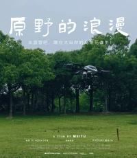 若是你想要踏上幸福與獨立共存的道路，你就該找到那個對的人，并且與之相伴，攜手前行。配圖