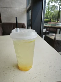 如果一個孩子生活在批評之中，他學會的是譴責。
如果一個孩子生活在安全之中，他學會的是信任他自己。
如果一個孩子生活在敵意之中，他學會的是去斗爭。
如果一個孩子生活在承認之中，他學會的是去愛。
如果一個孩子生活在恐懼之中，他學會的是憂慮不安。
如果一個孩子生活在認可之中，他學會的是設立一個目標。
如果一個孩子生活在贊同之中，他學會的是喜歡自己。
如果一個孩子生活在嫉妒之中，他學會的是看到內疚。如果一個孩子生活在友好之中，他學會的是這個世界是生活的好地方
你該如何選擇呢？配圖