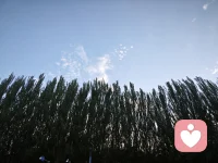 心理學上說，事件本身不會傷害人，只有人對事物的解釋（定義）才會傷害人。
所以從本質上來講，這個世界上，沒有人可以傷害你。所有的傷害，都是你在傷害你自己，因為是你定義了這個事情。
你怎么定義事情，這件事情的定義，就會反過來對你的大腦產生對應的作用。
你定義了這個事情是傷害，所以它才會是傷害。
今天你產生了情緒，是因為你的“腦袋”對“事物”產生了一個定義。從這一點出發，改變情緒最快的方式是什么呢？那就是：重新定義。
定義變了，對應的情緒也隨之改變。
另一方面，你已經知道了自己是個系統，里面的各個部分相互牽連，相互影響。
那我們能不能通過改變身體，來改變我們頭腦的化學反應呢？完全可以！
心理學上有句接近真理的話，它的英文版本是：Emotion is created by motion. Emotion的意思是情緒，而motion的意思是動作，就是你的肢體動作、身體反應等。所以這句話的意思是，情緒是被動作創造的，簡單說，就是動作創造情緒。配圖
