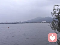 要想獲得幸福與自由，必須明白這樣一個道理：一些事情我們自己能控制，另一些則不能。只有正視這個基本原則，并學會區分什么是你能控制的、什么是你不能控制的，才可能擁有內在的幸福與外在的效率。任何時候，我們都有選擇的空間。任何時候，你都可以選擇你的行為，朝向你認為“好”的方向。哪怕是赴死，也可以選擇從容、優雅一些。要記住語言是目的，行為才是結果。配圖