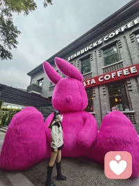 重要的其實是找到自己熱愛的事物并投入其中，與這個事物建立起深度關系。深度關系會讓你進入很不一樣的境界，然后加上長年累月的積累，最終自然收獲了所謂成功。配圖