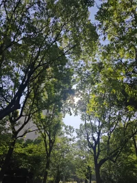 运动产生的多巴胺
跑起来就会遇到光配图