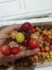 人生缓缓 自有答案配图