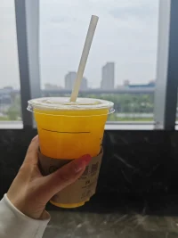 正確總是那般的無趣，而小錯誤卻顯得格外可愛。配圖
