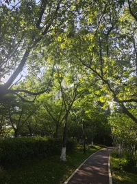世間沒有唯一的答案，人生也沒有唯一的選擇。
只有清楚明白的知道自己想要什么
才是自己最好的選擇
生活悲喜交替，沒有終點。配圖
