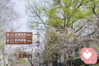 突然想到了一个词，叫预设问题不断的来验证自己的说法，好像有突然明白了原来生活中很多我们所谓的麻烦和烦心事，大部分是源于自己的认知和对没有发生的事情预设，这种感觉确实让人疲惫。是的有时候我们的担心会让我们焦虑，但我们在没有发生的事情上面去消耗自己，恶意的猜测本身就是对自我能量的一种消耗，

有不同的意见和观点这都是好事情，证明我们都在思考，可为什么我突然会有那么多的情绪和起跳是因为我感受到了被攻击也感受到了好像对方在教我怎么做事，这个点让我感受到了自己的无能为力。所以我才会直接起跳

比起预设问题，我更加期待解决问题。配图