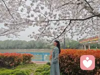 《爱的5个真相》 99%的伴侣会在了解这5个爱的真相后，深刻的彼此理解。 第一个真相：和我们一样，我们的伴侣也缺乏爱。因为缺爱的缘故，他们也缺乏存在感、安全感、归属感、自尊心和自我价值感。他们也渴望从我们这里获得这些。
 第二个真相：和我们一样，我们的伴侣也有“恐惧癌”。过去亲密关系的创作和失败，并不会随风而去，而是潜入我们的潜意识当中，潜移默化的让我们在亲密关系里小心翼翼。
 第三个真相：和我们一样，我们的伴侣也怀疑爱。他们也可能在原生家庭中，遭遇过童年创伤，或者被以爱的名义伤害过。所以会不断地推开我们的爱，测试我们的爱。
 第四个真相：和我们一样，我们的伴侣也不会爱。我们可能都未掌握有效的爱的方式，一切的努力，只能够给彼此带来短暂的快乐，却无法让彼此的生命状态，发生真正的转变。 
第五个真相：和我们一样，我们的伴侣也不能爱。我们和伴侣也许都面临着巨大的生活压力，甚至是生存压力，以至于我们没有更多时间、精力和资源更好的爱对方，对伴侣有着过高的期待，或者认为伴侣就应该能够爱我们，只会徒增彼此的失望和伤害，而真正相爱的伴侣，能够在了解这5个爱的真相后，携手彼此，勇猛成长，在不断提升各自爱的能力后，创造非凡的亲密关系。配图