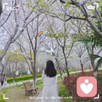 《爱的5个真相》 99%的伴侣会在了解这5个爱的真相后，深刻的彼此理解。 第一个真相：和我们一样，我们的伴侣也缺乏爱。因为缺爱的缘故，他们也缺乏存在感、安全感、归属感、自尊心和自我价值感。他们也渴望从我们这里获得这些。
 第二个真相：和我们一样，我们的伴侣也有“恐惧癌”。过去亲密关系的创作和失败，并不会随风而去，而是潜入我们的潜意识当中，潜移默化的让我们在亲密关系里小心翼翼。
 第三个真相：和我们一样，我们的伴侣也怀疑爱。他们也可能在原生家庭中，遭遇过童年创伤，或者被以爱的名义伤害过。所以会不断地推开我们的爱，测试我们的爱。
 第四个真相：和我们一样，我们的伴侣也不会爱。我们可能都未掌握有效的爱的方式，一切的努力，只能够给彼此带来短暂的快乐，却无法让彼此的生命状态，发生真正的转变。 
第五个真相：和我们一样，我们的伴侣也不能爱。我们和伴侣也许都面临着巨大的生活压力，甚至是生存压力，以至于我们没有更多时间、精力和资源更好的爱对方，对伴侣有着过高的期待，或者认为伴侣就应该能够爱我们，只会徒增彼此的失望和伤害，而真正相爱的伴侣，能够在了解这5个爱的真相后，携手彼此，勇猛成长，在不断提升各自爱的能力后，创造非凡的亲密关系。配图