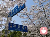 慢下来

松弛感配图