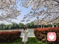 慢下来

松弛感配图