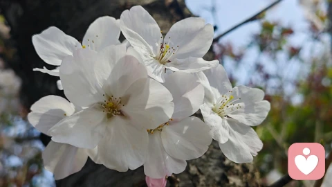 原谅不是仁慈，而是一场精准的敲诈 \n\n当伴侣犯了原则性错误，比如出轨或者重大欺骗，如果你因为孩子、财产或者其他现实原因暂时无法离婚，选择了原谅。那么请记住，
